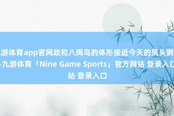 九游体育app官网政和八闽鸟的体形接近今天的凤头鹦鹉-九游体育「Nine Game Sports」官方网站 登录入口